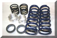 LTR_Front_Springs_Small.JPG (50790 bytes)